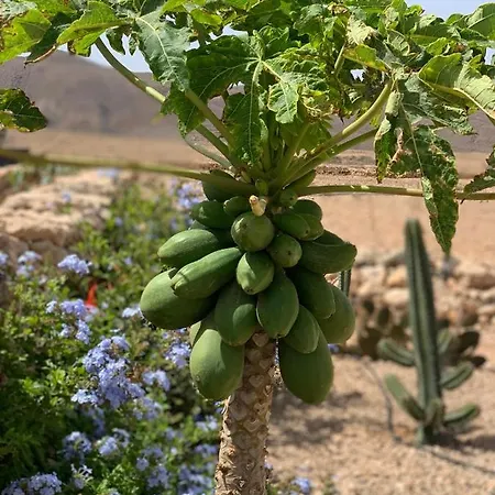 Alma Calma Rural מלון *