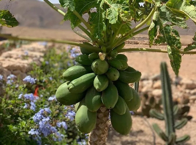 Alma Calma Rural Hotel *