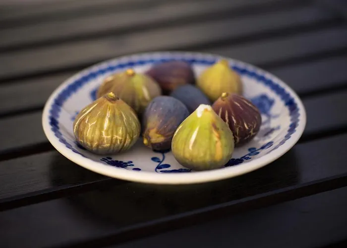 Hotel Alma Calma Rural *